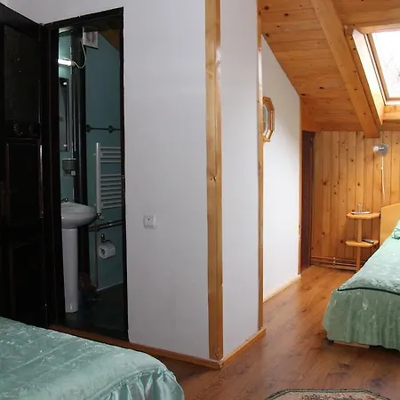 Gasthuis Pensiunea Casa Alex 3*