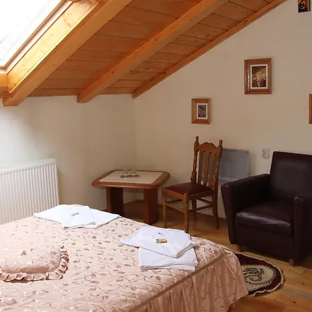 Gasthuis Pensiunea Casa Alex Sadova (Suceava)