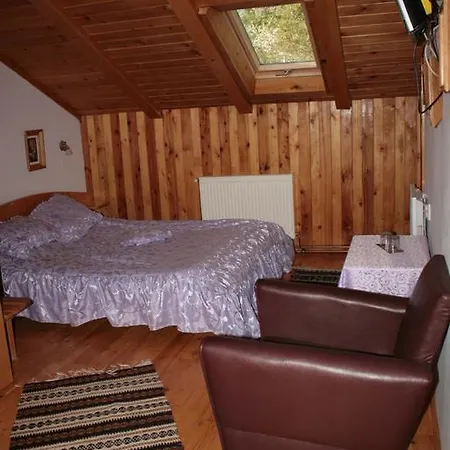 Pensiunea Casa Alex Sadova (Suceava)
